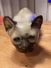 Winstanley Siamese Cat Full