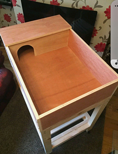 Wooden tortoise table - wooden,