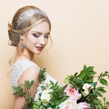 Birdcage Veil Wedding Bride