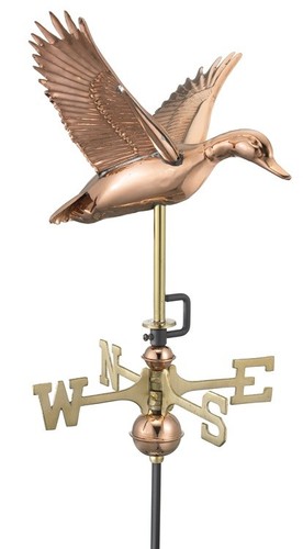 Flying duck polished - polished, copper