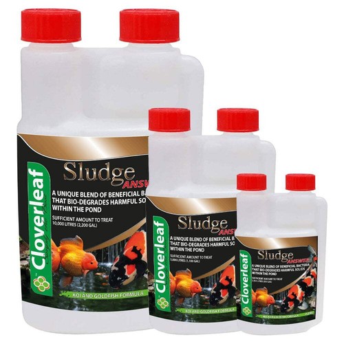 Cloverleaf koi pond fish - cloverleaf,