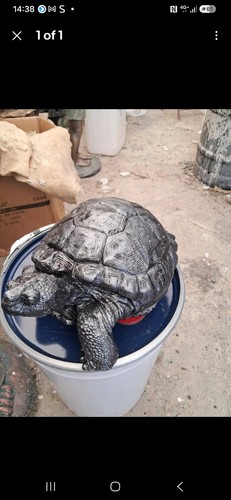 New turtle mould latex and - latex,