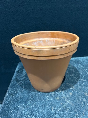 Vintage terracotta plant - terracotta, pot