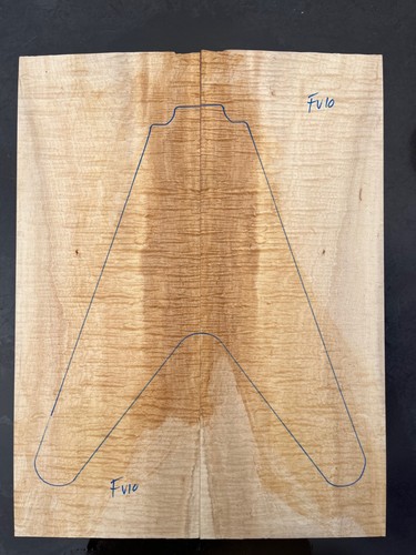 Curly sycamore maple - maple, flying
