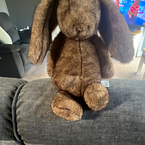 Jellycat bashful bunny - jellycat,