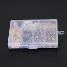 Sea Snail Decoration Portable