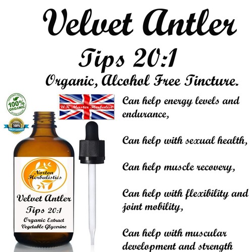 Velvet deer antler tips potent - deer,