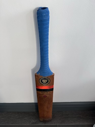 Newbery merlin star - 8, cricket