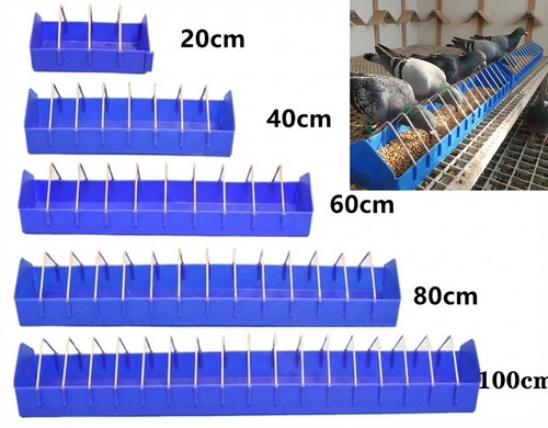 Racing pigeon feeder - racing, with