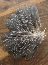 10pcs Black White Spotted