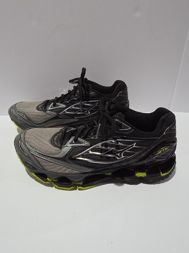 Mizuno wave prophecy - wave,
