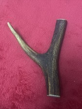 ONE PIECE OF DEER ANTLER, Y
