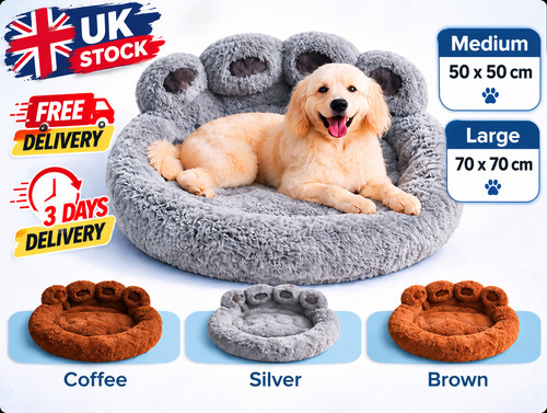 Plush pet cat - plush, beds