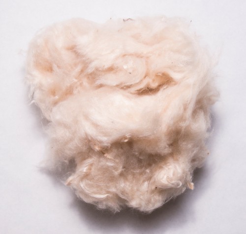 Natural kapok fibre stuffing - fibre,
