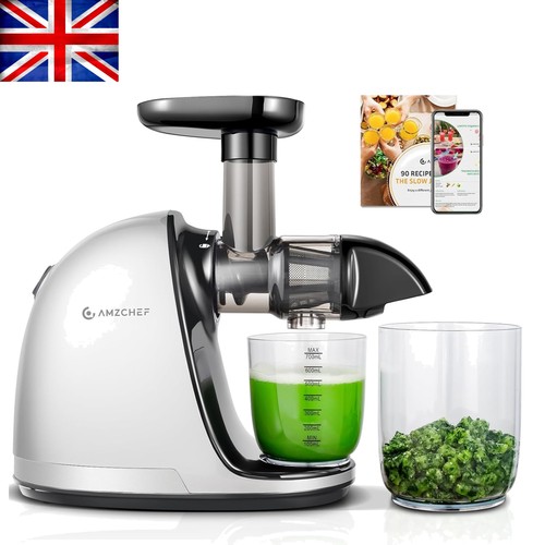 Cold press slow juicer - cold,