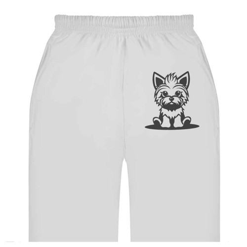 Yorkshire terrier adult - terrier',