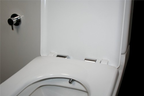 Combined bidet toilet grohit - combined,