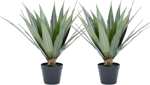 2ft realistic artificial agave - realistic,
