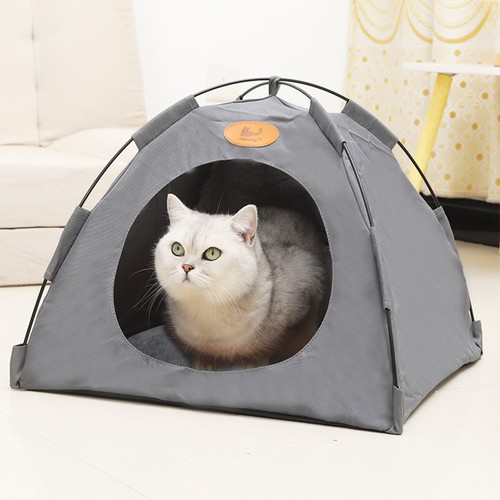 Pet tent cat puppy play - puppy,