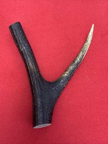 One piece deer antler y - piece,