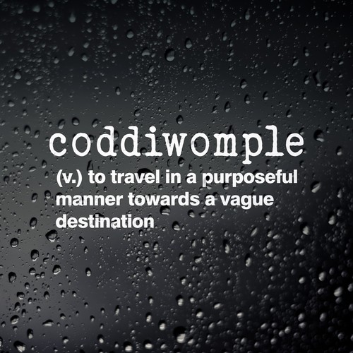 Coddiwomple funny camper van - funny,