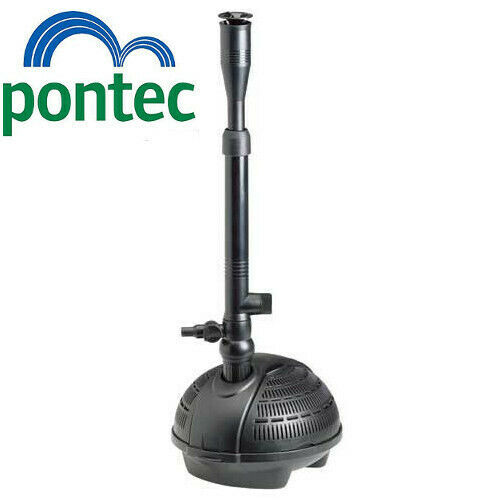 Oase pontec pondovario - pontec,