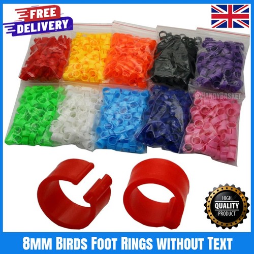 100pcs 8mm bird leg rings - leg, id
