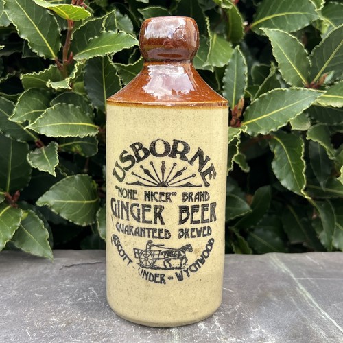 Usborne ginger beer - usborne,