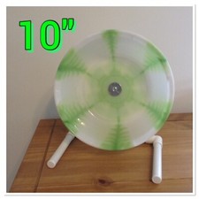 10" AFRICAN PYGMY HEDGEHOG