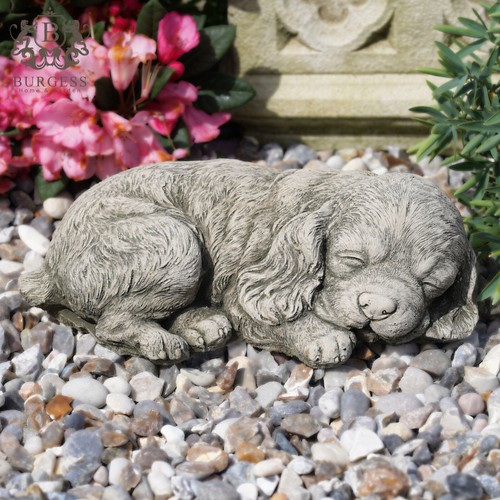 Spaniel puppy dog statue - statue, |