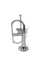 India Musical Instrument