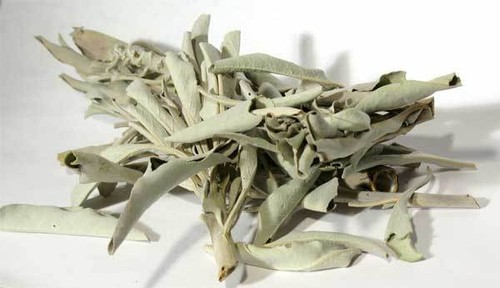 White sage californian - white,
