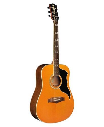 Eko ranger dreadnought - ranger, 6