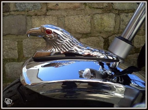 Eagle head metal ornament - eagle,