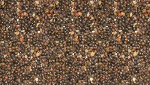 20kg tares pigeon - food, /