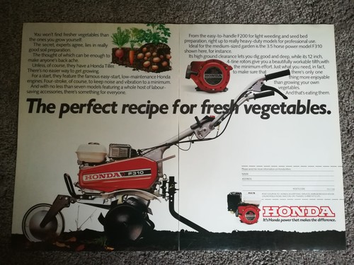Honda f310 rare magazine - ,