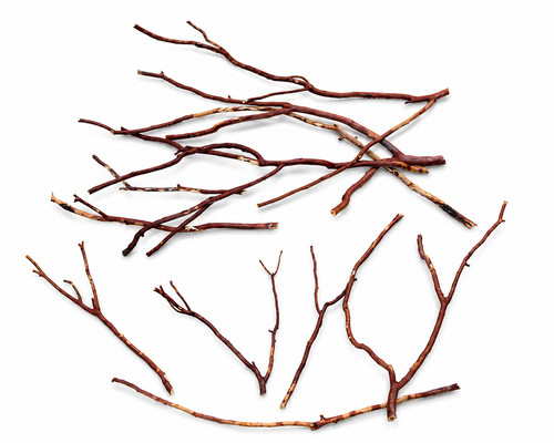 Manzanita wood branch for - manzanita,
