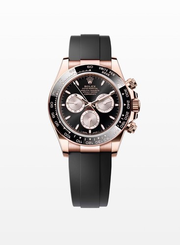 2025 rolex everose gold - rolex,