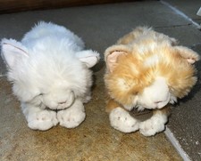 Keel Toys Soft Toy Cuddly Plush Tiffany & Tabitha Ginger White Cat Kitten 9.5”❤️