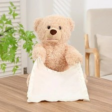 Peek a boo Teddy Bear Interactive Talking Tummy Time Hide & Seek