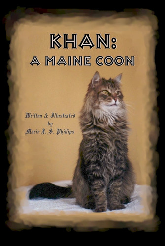 Khan maine coon - a,