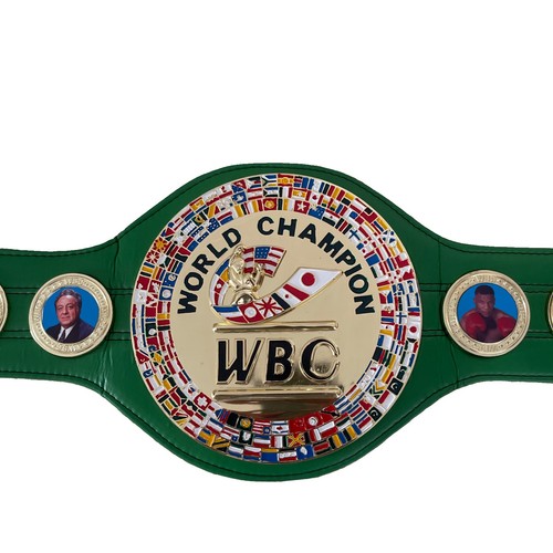 Wbc style boxing championship - style,