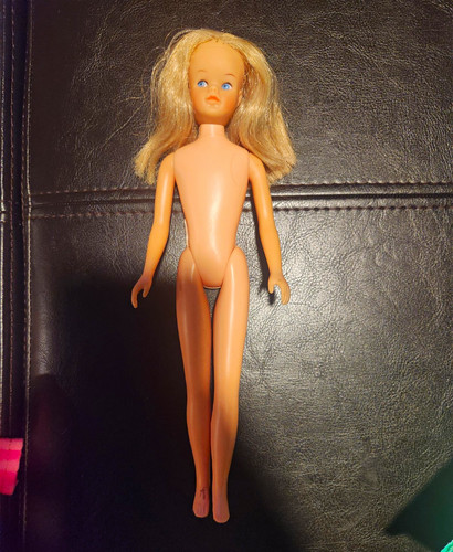 Vintage sindy pedigree doll - vintage,