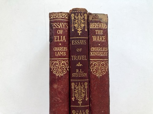 Red leather antique - red, books