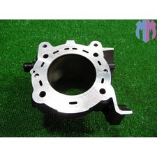 Cylinder Ducati Monster 821