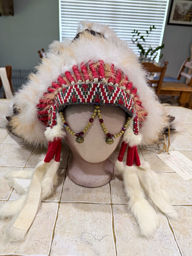 Feather war bonnet - feather, headdress