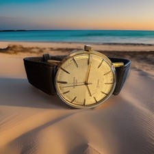 Vintage Sekonda Deluxe 23