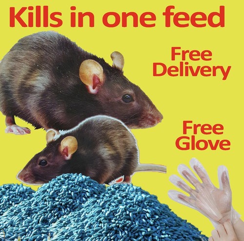 Rat mouse rodent poison bait - poison,