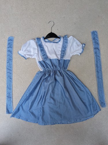 Dorothy dress and - hair, ribbons