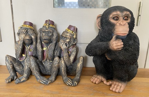 Vivid chimpanzee indoor - vivid,